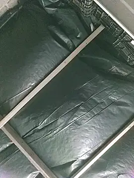 Czarnoksieznik – webcam-show