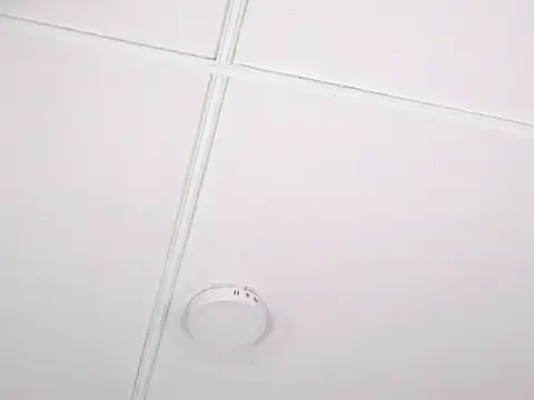 แชท XXX สดของ Nolan_joness