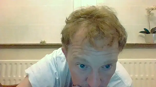 bertolini Webcam Show