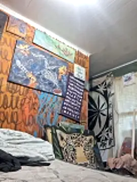 Show de Toycockhot na webcam