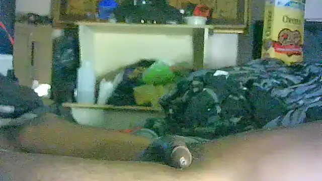 Show modela GUAPAN3S3_FIR3 na web-kameri