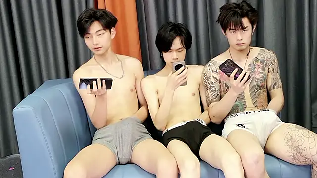 Show Webcam de NB-BOYS