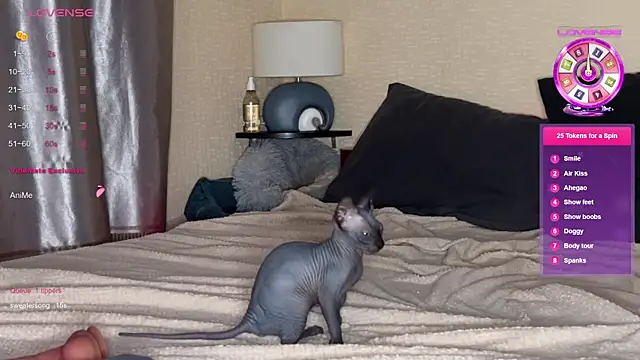 Katherine___Ross Chat XXX in diretta