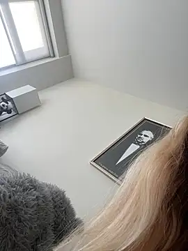 Show webcam de crystal132