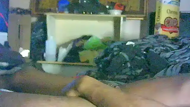 GUAPAN3S3_FIR3 在線直播表演