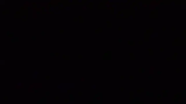 _Vahos_のウェブカメラショー