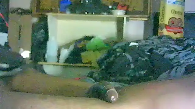 GUAPAN3S3_FIR3 – Live XXX-chat