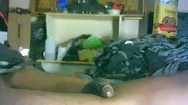 GUAPAN3S3_FIR3 Show Webcam