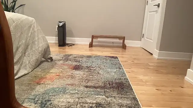 dancerbb ওয়েবক্যাম শো