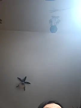 vulpe8400 在線直播表演