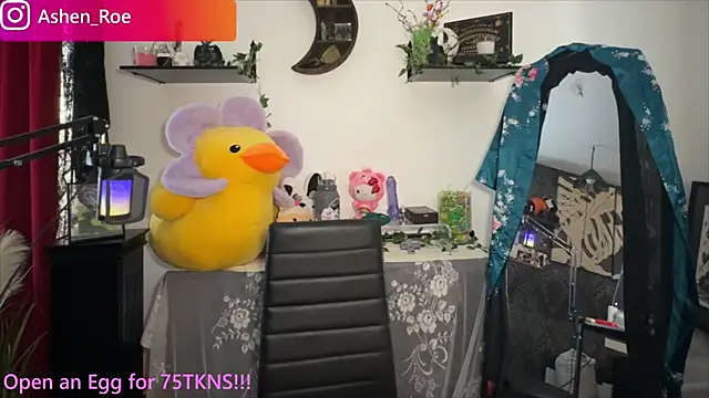 AshenRoe 现场XXX聊天