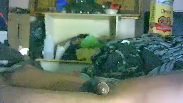 Chat XXX en directo de GUAPAN3S3_FIR3