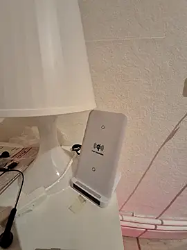 TirelessLot3 Webcam show