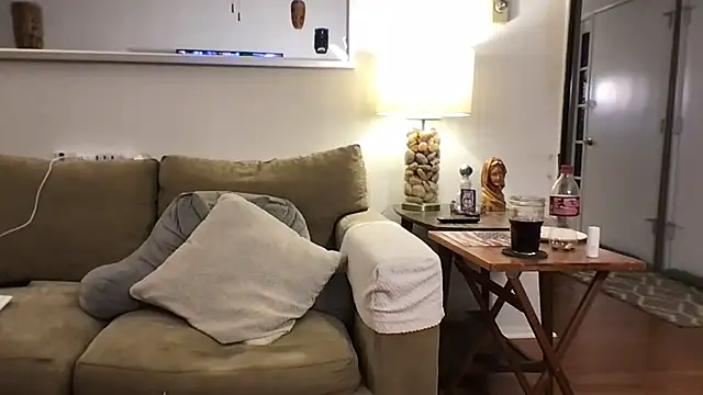 9VOLTTのウェブカメラショー