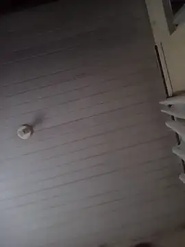 zacariastesao22 웹캠 쇼