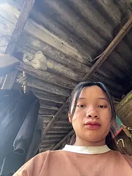 beobeo_2xx 网络视讯表演