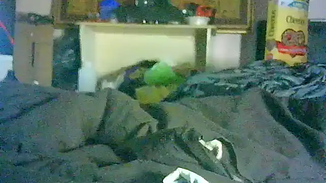 GUAPAN3S3_FIR3: διαδικτυακό σόου στην κάμερα