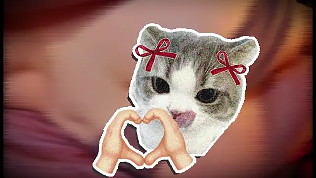 แชท XXX สดของ StacyWatts