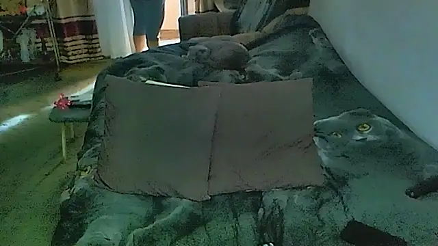 sex2 – Live XXX-chat