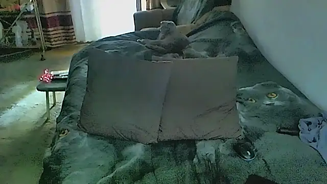 Živý XXX chat sex2