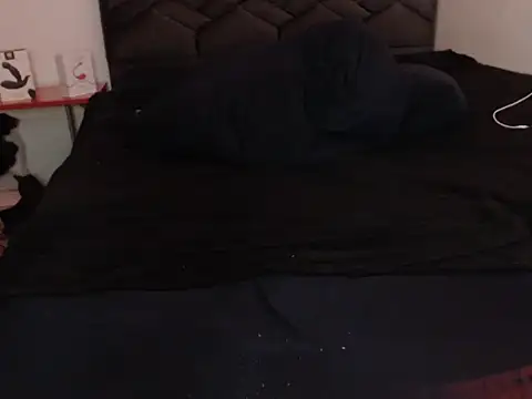 danypalmer webcam show