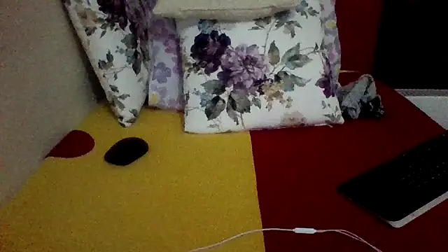 Вебкам-шоу st206boy