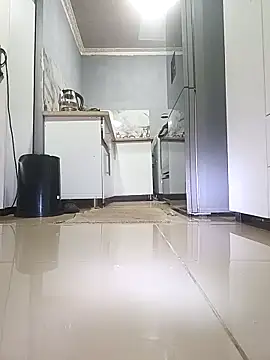 BigBadgeTax 웹캠 쇼