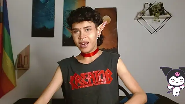 Show Webcam de nicolai_a