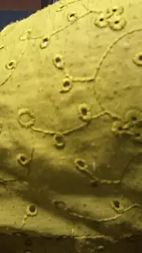 Nisha027n Live XXX chat