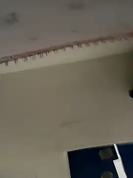 Chat XXX Live HealingHoney