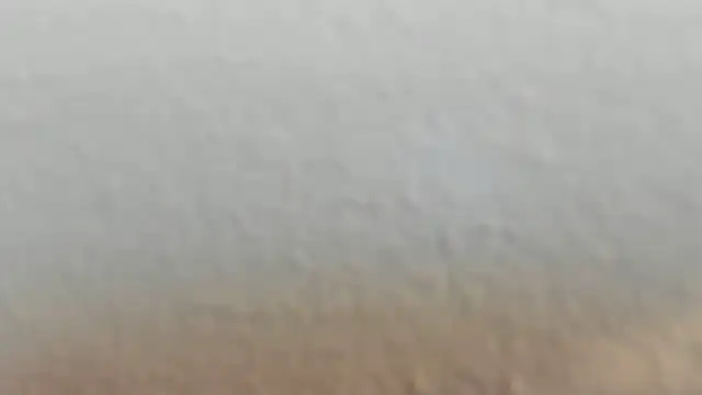 Ana_star_'s Live XXX Chat