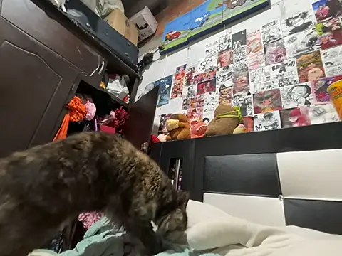 violeta_818's Live XXX Chat