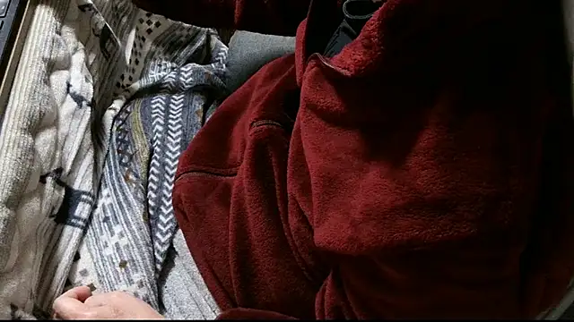 Show webcam de cinnabar_red