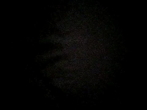 Chat XXX en directo de PrimBee