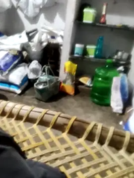 PolarFriend0のウェブカメラショー