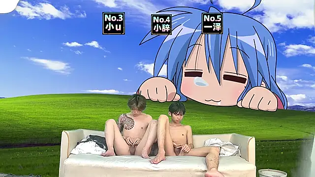 Show de webcam de NMX-1