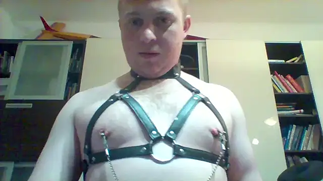 Matttthees – Kamerová šou