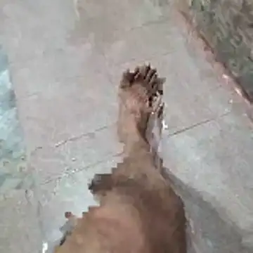 Show Webcam de jockey2051992