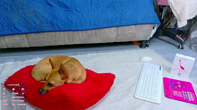 Chat +18 de sweet__thang ao vivo