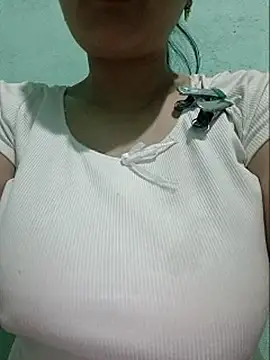 Shine_Main Webbikameraesitys