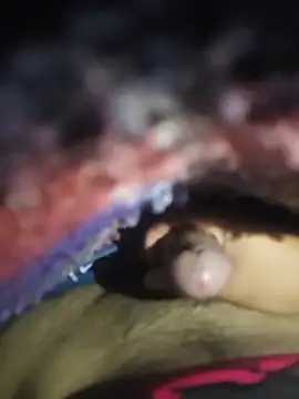 Alcon347 – Kamerová šou