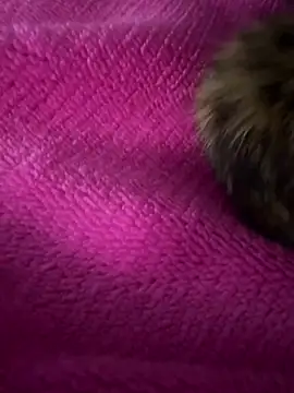 Онлайн чат XXX Stiven_2_