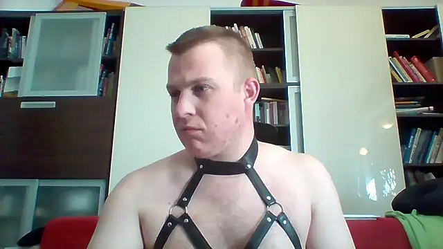 Webkamerová show Matttthees