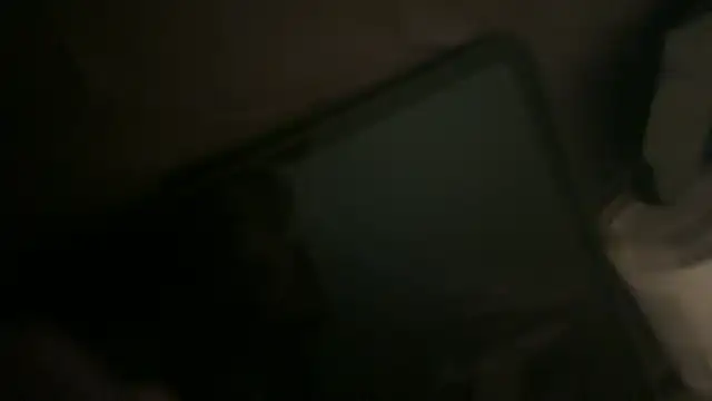 Show Webcam de PlaywithSnM