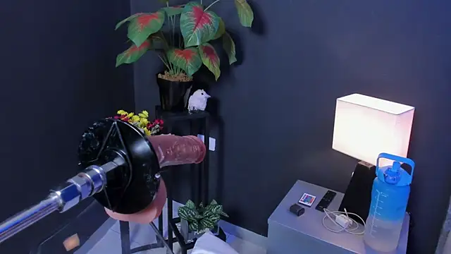 Chat XXX en directo de Amy_whittee