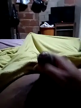 Davidii907552 Webcam show