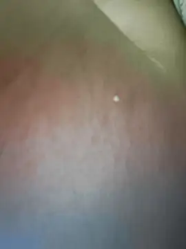 Chat +18 de aarvicam ao vivo