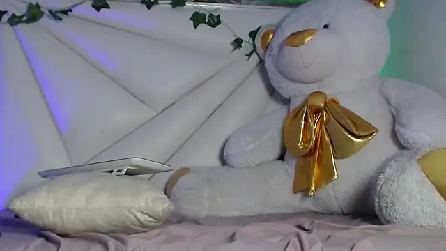 Didi_hard Show Webcam