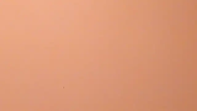 Онлайн чат XXX b3cky_