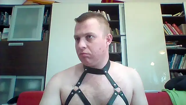 Show modela Matttthees na web-kameri